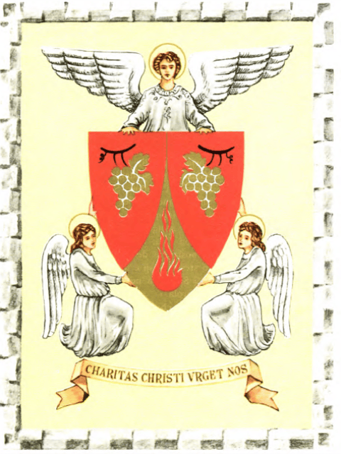 Imagen del escudo